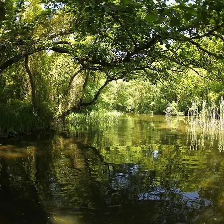 Mura البينا